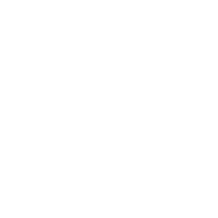 4 Races