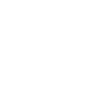 Golfinho